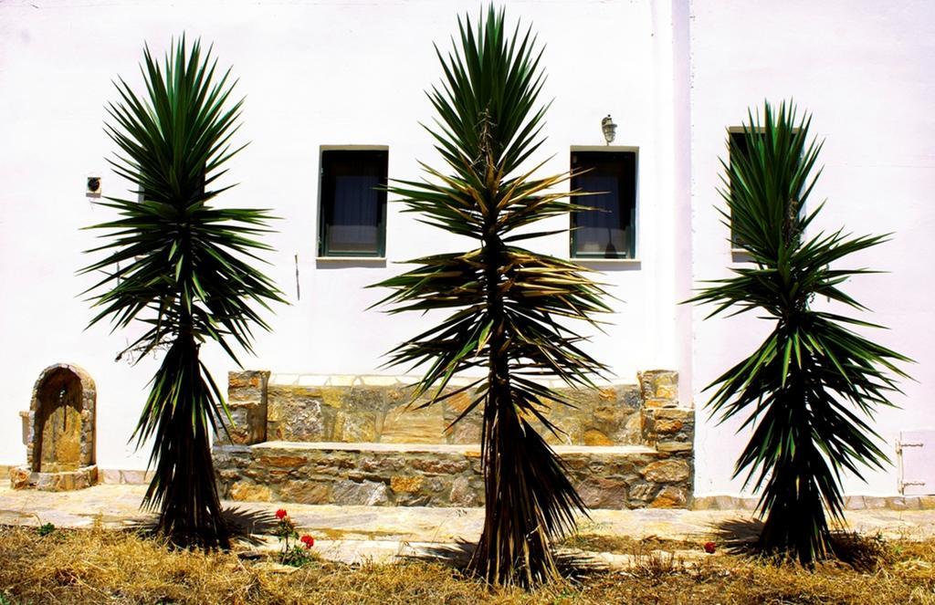 Thomas Apartments Katapola - Chora Exterior photo