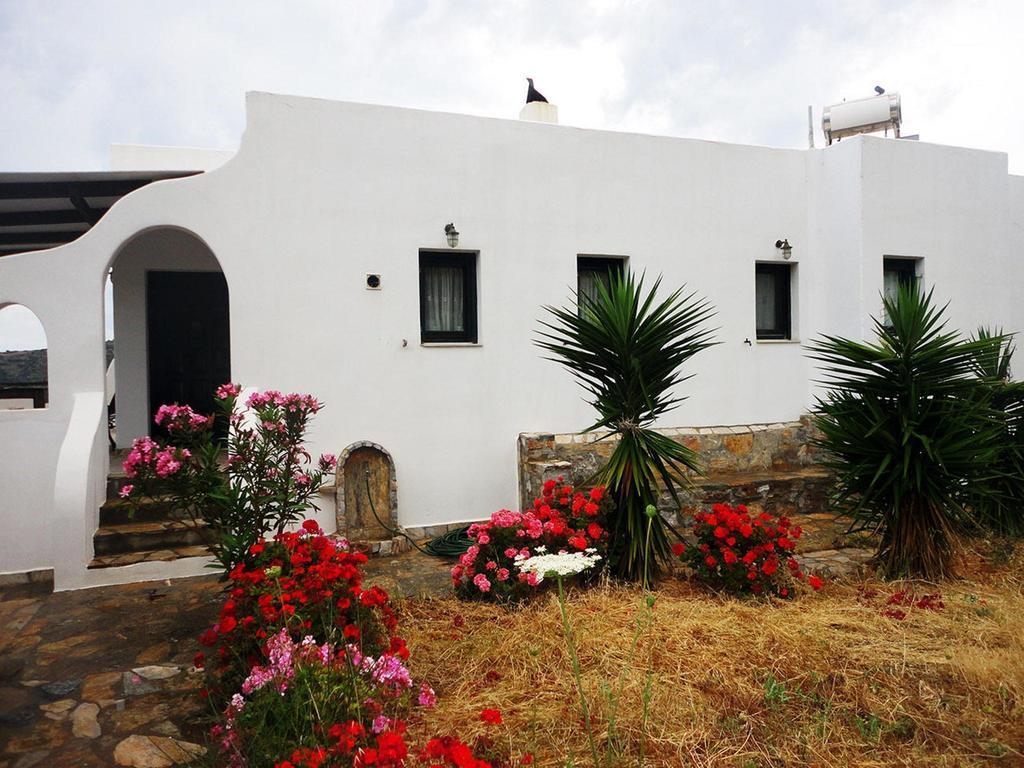 Thomas Apartments Katapola - Chora Room photo